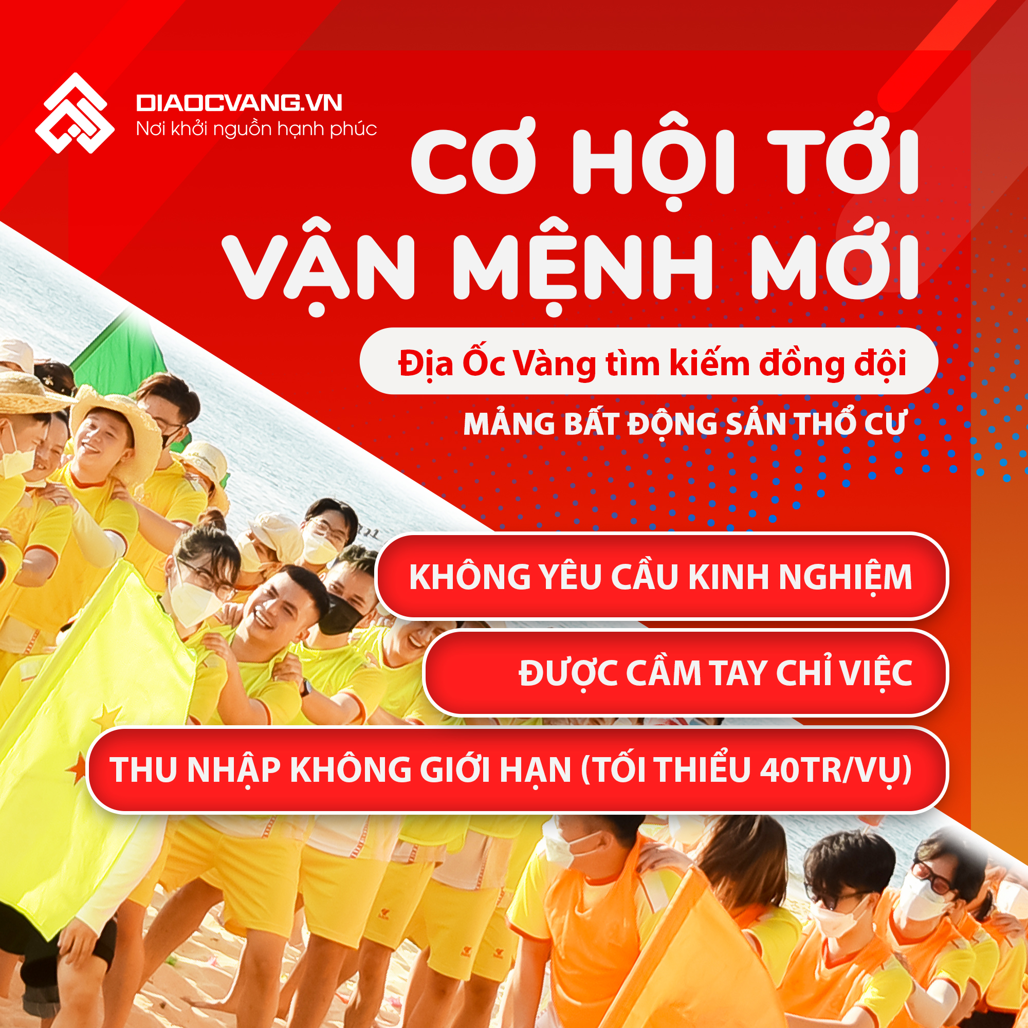 lĩnh vực hoạt động